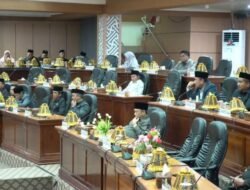 Sarkawi Ingatkan Pemkab Luwu Timur Taati Aturan dalam Proyek Multiyears